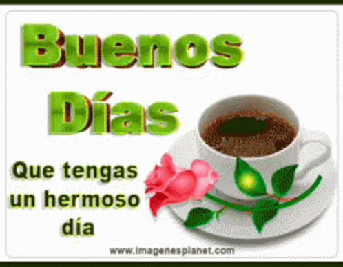 Coffee Cup With Rose Saying Buenos Dias Que Tengas Un Hermoso Dia GIF