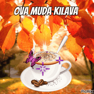A Cup Of Coffee With A Butterfly On It And The Words Ova Muda Kilava GIF