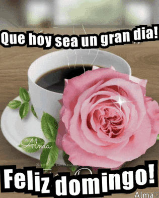A Cup Of Coffee With A Pink Rose On A Saucer And The Words " Que Hoy Sea Un Gran Dia Feliz Domingo " GIF