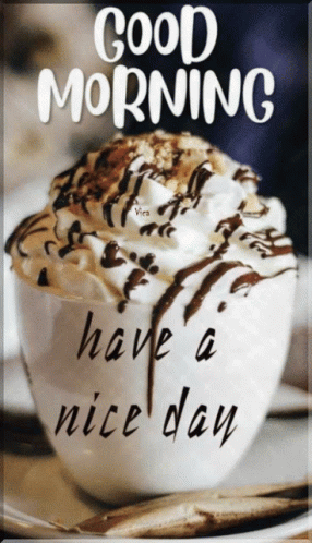 A Cup Of Hot Chocolate With Whipped Cream And Chocolate Shavings And The Words Good Morning Have A Nice Day GIF