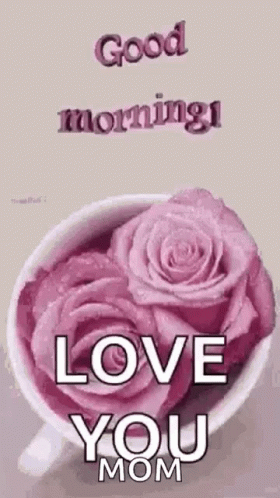 A Cup Of Pink Roses With The Words `` Good Morning I Love You Mom '' Written On It . GIF