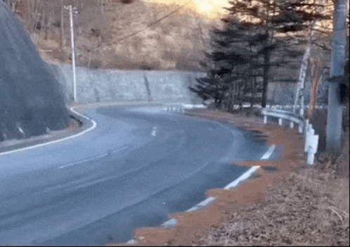 A Curve In A Road With Trees On The Side GIF