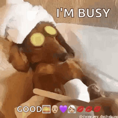 A Dachshund Wearing A Towel And Cucumber Slices On Its Eyes Is Laying In A Bathtub . GIF