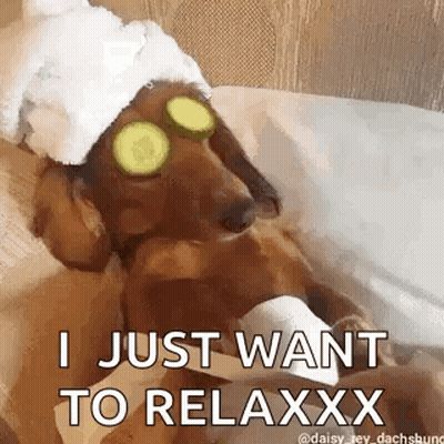 A Dachshund With Cucumber Slices On Its Eyes And A Towel Wrapped Around Its Head . GIF