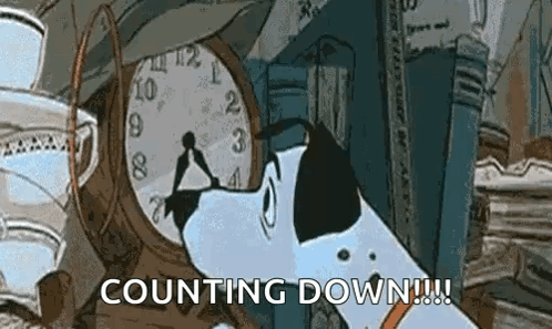A Dalmatian Dog Is Looking At A Clock With The Words `` Counting Down '' Written On It . GIF