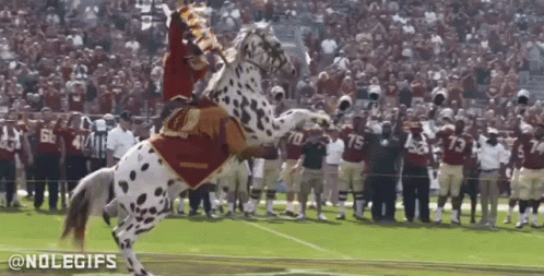 A Dalmatian Mascot Is Riding On The Back Of A Horse On A Football Field GIF
