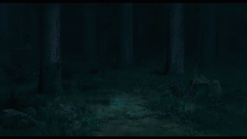 A Dark Forest With Trees And A Path Going Through It GIF