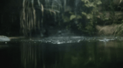 A Dark River With Trees In The Background And A Few Drops Of Water GIF