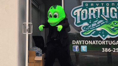 A Daytona Tortuga Mascot Stands In Front Of A Glass Door GIF