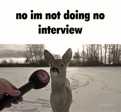 A Deer Is Being Interviewed By A Person Holding A Microphone GIF