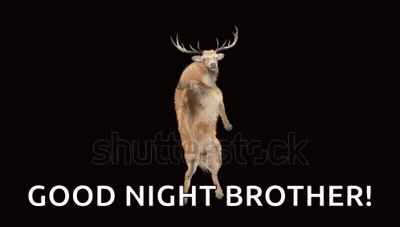 A Deer Standing On Its Hind Legs With The Words Good Night Brother Written Below It GIF