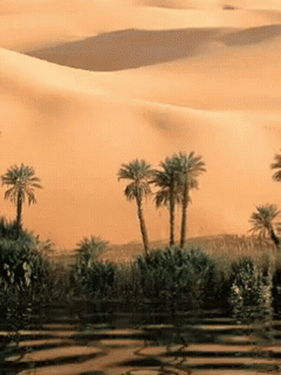 A Desert Landscape With Palm Trees In The Foreground And Sand Dunes In The Background GIF