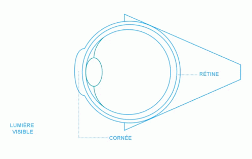 A Diagram Of A Person 'S Eye With The Words Danger Lumiere Bleue At The Top GIF
