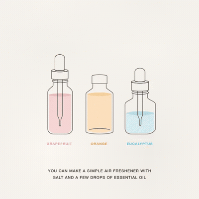 A Diagram Showing How To Make An Air Freshener With Grapefruit Orange And Eucalyptus Essential Oil GIF