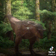 A Dinosaur Is Standing In The Middle Of A Forest Surrounded By Trees And Ferns . GIF