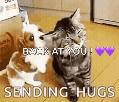 A Dog And A Cat Hugging Each Other With The Words " Back At You Sending Hugs " GIF