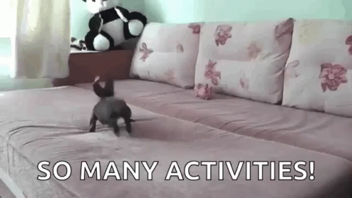 A Dog Crawling On A Couch With The Words So Many Activities GIF