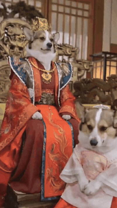 A Dog Dressed As A King Sits Next To Another Dog GIF