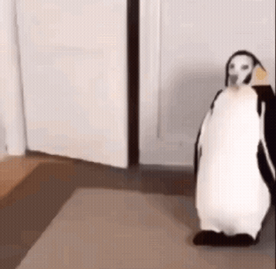 A Dog Dressed As A Penguin Is Standing On A Rug In A Room . GIF