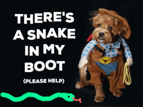 A Dog Dressed In A Cowboy Costume With The Words There 'S A Snake In My Boot Above It GIF