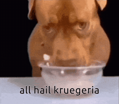 A Dog Drinking Milk From A Plastic Cup With The Words All Hail Kruegeria Written On The Bottom GIF