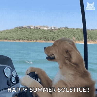A Dog Driving A Boat With The Words Happy Summer Solstice On The Bottom GIF