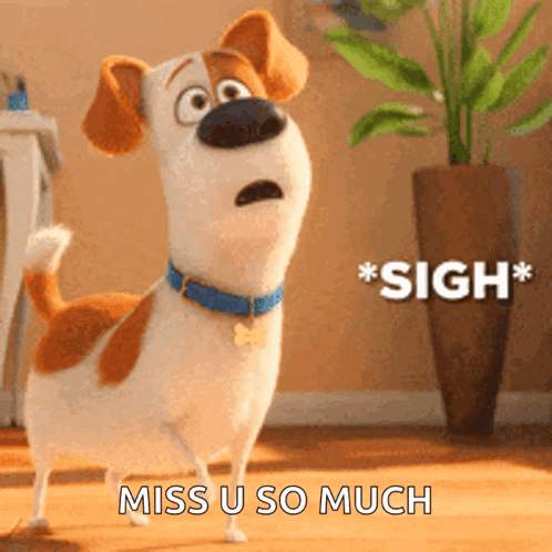 A Dog From The Secret Life Of Pets Is Standing In A Room And Says " Sigh Miss U So Much " GIF