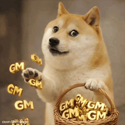 A Dog Holding A Basket Filled With Gm Letters GIF