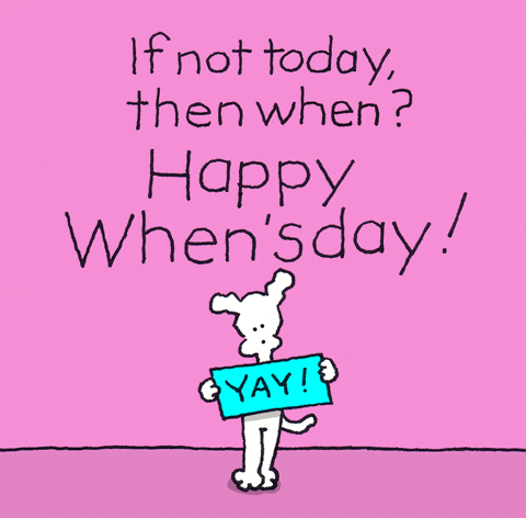A Dog Holding A Sign That Says Yay On It GIF
