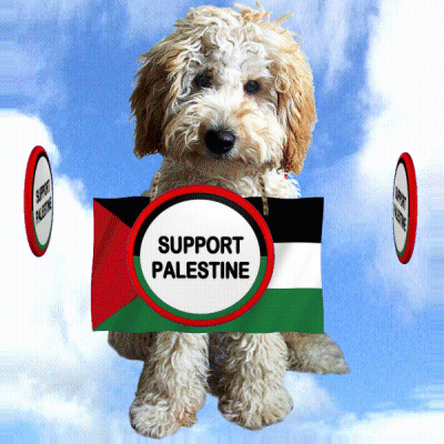 A Dog Holds A Sign That Says Support Palestine GIF
