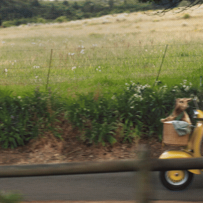 A Dog In A Basket Is Riding A Yellow Scooter GIF