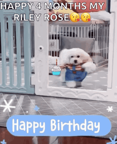 A Dog In A Cage With The Words Happy 4 Months My Riley Rose Above It GIF