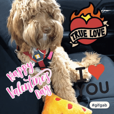 A Dog In A Car With The Words Happy Valentine 'S Day And I Love You GIF