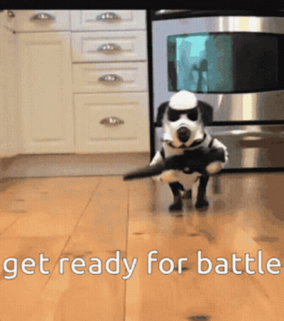 A Dog In A Storm Trooper Costume With The Words Get Ready For Battle GIF