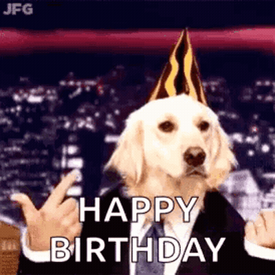 A Dog In A Suit And Party Hat Is Giving The Middle Finger . GIF