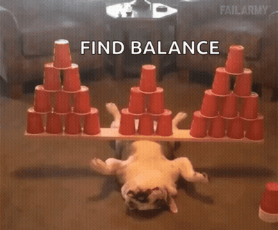 A Dog Is Balancing Red Cups On A Wooden Board With The Words Find Balance Above It GIF