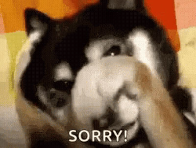 A Dog Is Covering Its Face With Its Paw And The Word Sorry Is On The Bottom Of The Picture . GIF