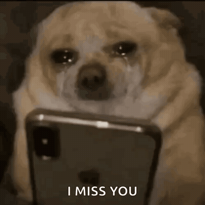 A Dog Is Crying And Looking At A Cell Phone . GIF