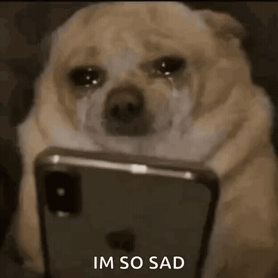 A Dog Is Crying While Looking At A Cell Phone And Says `` Im So Sad '' . GIF