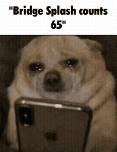 A Dog Is Crying While Looking At A Cell Phone With The Caption " Bridge Splash Counts 65 " GIF