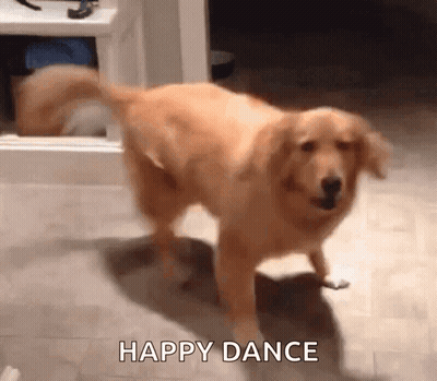 A Dog Is Dancing In A Room With The Words Happy Dance Written On The Bottom . GIF