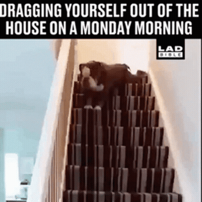 A Dog Is Dragging Itself Up A Set Of Stairs On A Monday Morning . GIF
