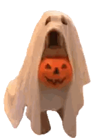 A Dog Is Dressed As A Ghost And Holding A Pumpkin . Sticker