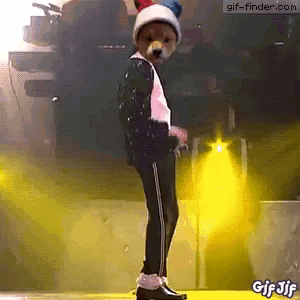Dog Dressed As Michael Jackson Dancing Stage GIF