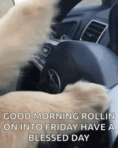 A Dog Is Driving A Car With Its Paw On The Steering Wheel . GIF