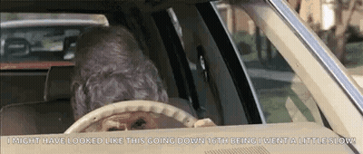 A Dog Is Driving A Car With The Words I Might Have Looked Like This Going Down GIF