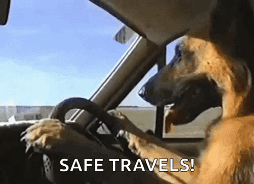 A Dog Is Driving A Car With The Words Safe Travels Written On The Bottom GIF
