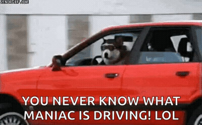 A Dog Is Driving A Red Car With The Words " You Never Know What Maniac Is Driving Lol " On The Bottom GIF