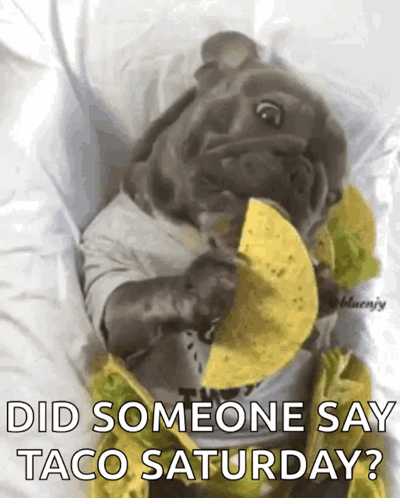 A Dog Is Eating A Taco On A Bed With The Caption Did Someone Say Taco Saturday GIF
