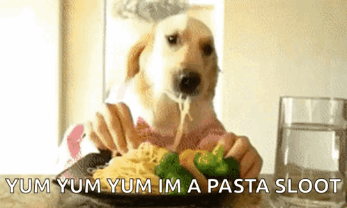 A Dog Is Eating Spaghetti And Broccoli With The Words Yum Yum Yum Im A Pasta Sloot GIF